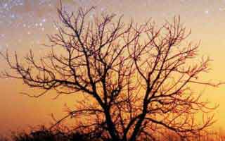 Switzerland: Where It Is and What Makes It Extraordinary