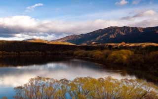 pizza: Its Future and The Revolution Brewing